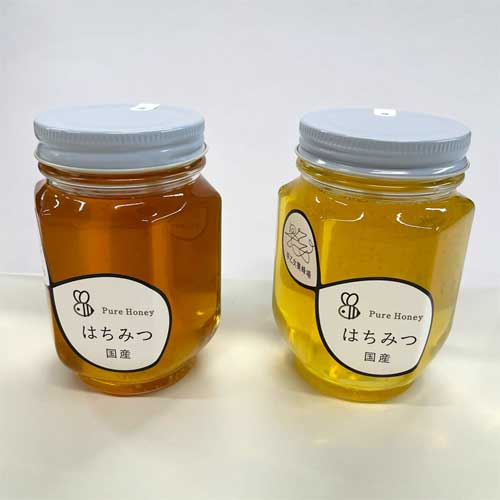 【全国送料込／8月出荷】VIVAマルシェ 蜂蜜2個セット（菜の花・シコロ）